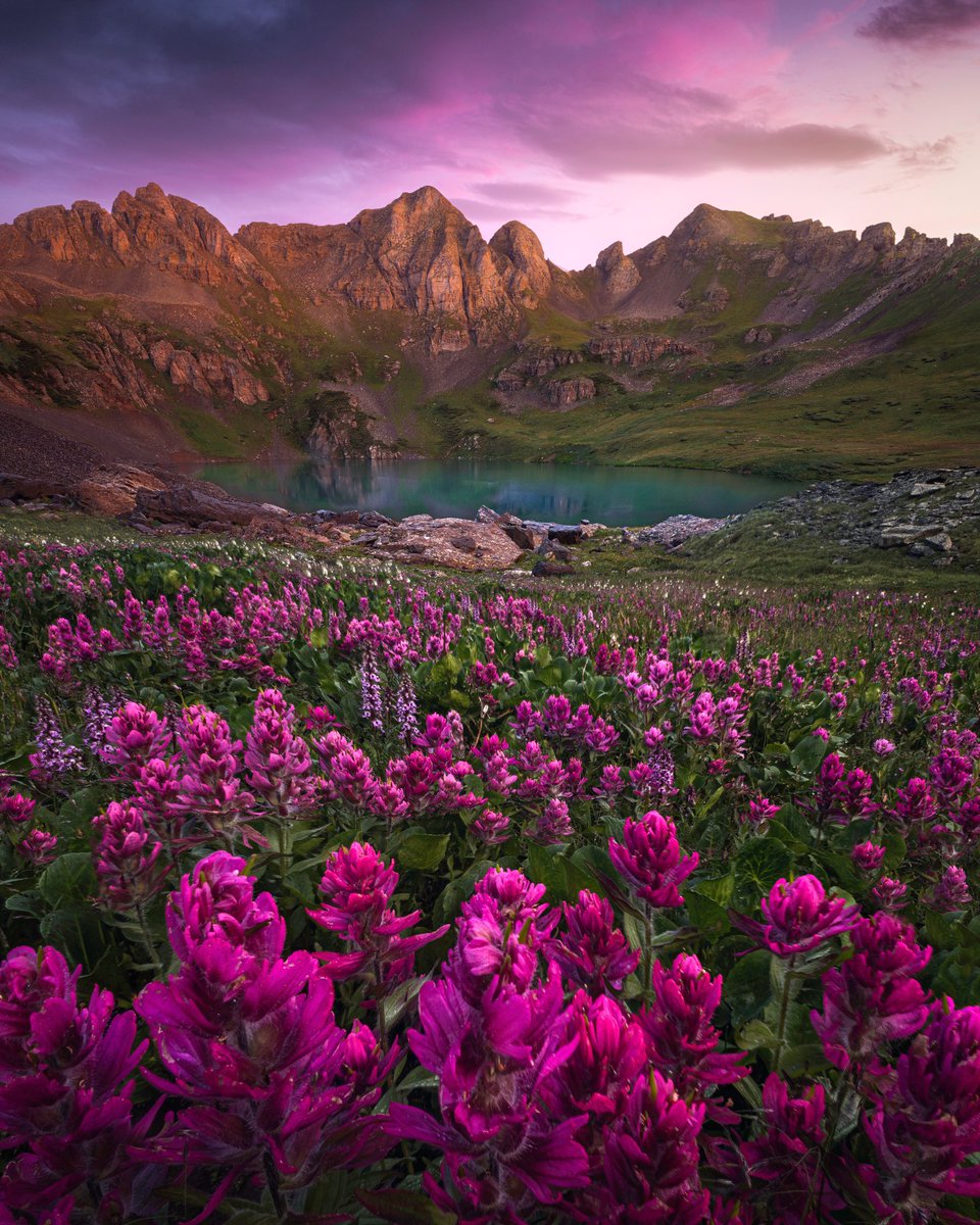 missjessbess's tweet photo. Nothing like enjoying a field full of flowers at 11,000 ft. ✌🏻💕🌸
#coloradowildflowers #landscapephotography #sonyalpha https://t.co/0uslpLjYK3