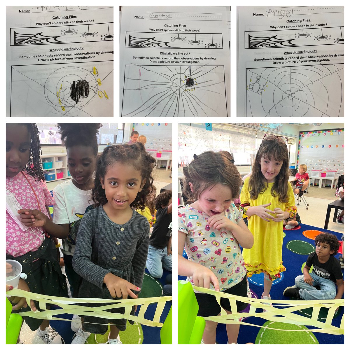AlexisM05683022's tweet photo. First grade scientists asking questions about spiders, recording observations, and learning new things! Thanks VCS Science department for a great activity! #vcsscientists @HHSK8Knights https://t.co/Aec3fueN3S