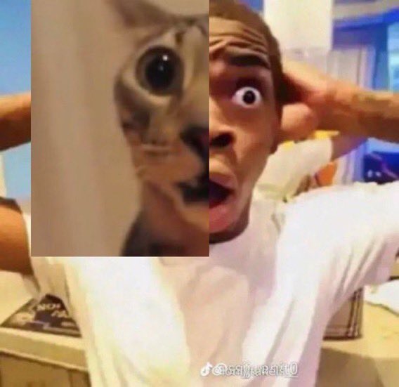 DrummerDuel tweet media