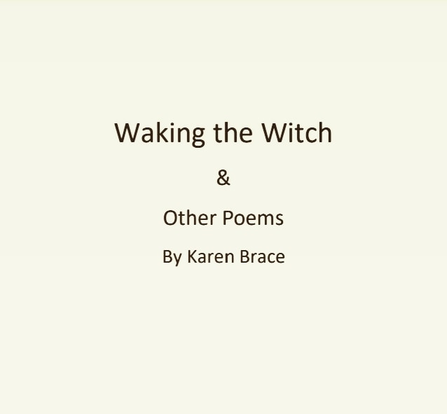 Karen Brace tweet media