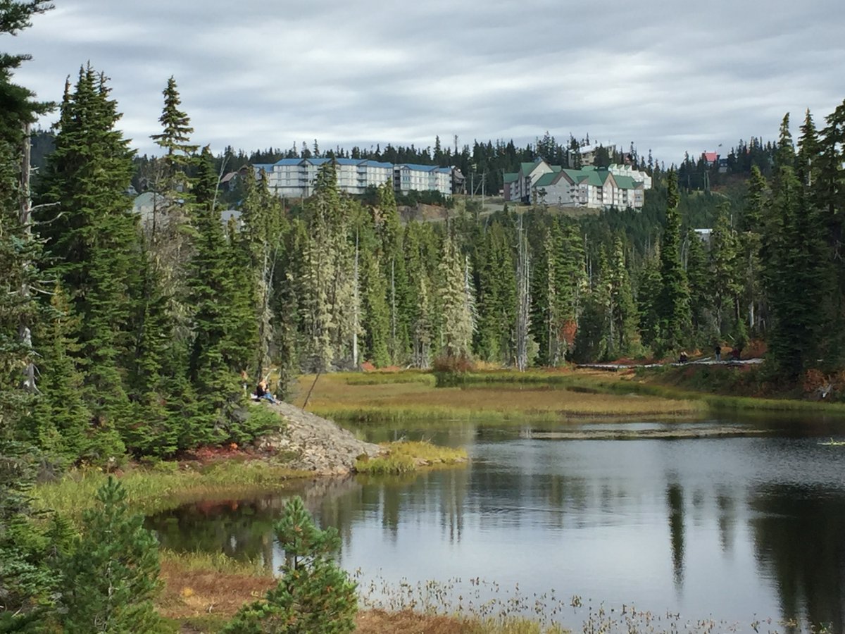 TourismMW's tweet photo. Final long weekend of summer ahead. A walk or hike in @strathcona_park never looked so good. With boardwalks, forest trails, views of mountain peaks - some perpetually mantled with snow, and stunning lakes, come stay and play on Mount Washington! https://t.co/jbomRQg6cL https://t.co/HWsbVa0C1F