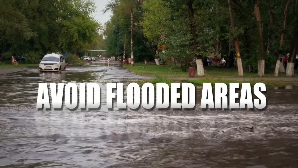 Electrical Safety Foundation International tweet media