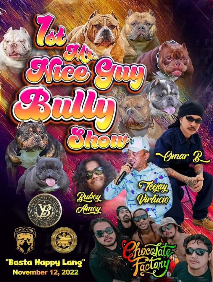 LTimberlake's tweet photo. Let's Goooo Bully Game!! 💯🐶

Nov 12, 2022. https://t.co/rhdR3tKV96