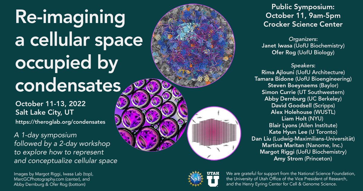 Janet Iwasa (@janetiwasa) on Twitter photo Save the date! On Oct 11 we'll be hosting a full-day symposium <a href="/UUtah/">University of Utah</a> featuring 14 great speakers who will tell us about condensates, visualization, simulation & more! With Rima Ajlouni (<a href="/UofUCAP/">U of U College of Architecture + Planning</a>) <a href="/tamarabidone/">Bidone Lab</a> @BoeynaemsSteven @SimonLCurrie @adernburg <a href="/dsgoodsell/">David S. Goodsell ๐ณ๏ธโ๐</a> <a href="/alexholehouse/">Alex Holehouse</a> Save the date! On Oct 11 we'll be hosting a full-day symposium <a href="/UUtah/">University of Utah</a> featuring 14 great speakers who will tell us about condensates, visualization, simulation & more! With Rima Ajlouni (<a href="/UofUCAP/">U of U College of Architecture + Planning</a>) <a href="/tamarabidone/">Bidone Lab</a> @BoeynaemsSteven @SimonLCurrie @adernburg <a href="/dsgoodsell/">David S. Goodsell ๐ณ๏ธโ๐</a> <a href="/alexholehouse/">Alex Holehouse</a>