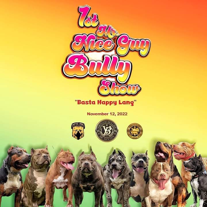 LTimberlake's tweet photo. Let's Goooo Bully Game!! 💯🐶

Nov 12, 2022. https://t.co/rhdR3tKV96