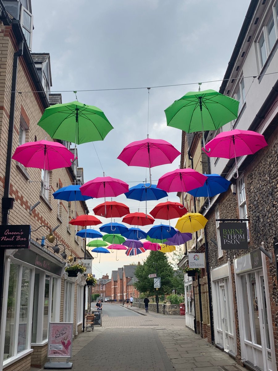 The Newmarket Vision newsletter is about how partnership working is helping the town. Stories include how Newmarket’s future is being shaped; big benefits from climate change action and skills opportunities in the visitor economy. Happy reading! westsuffolk.gov.uk/community/newm…