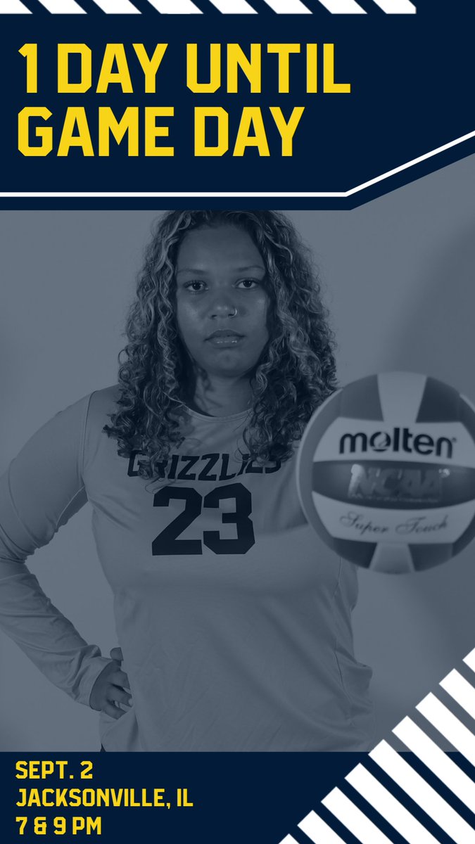 Franklin Grizzlies tweet media