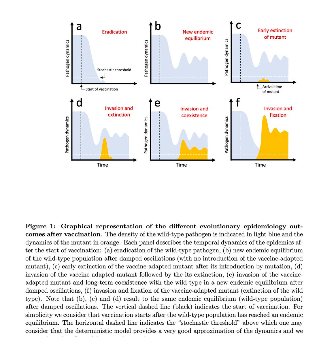 Thomas_Wilckens's tweet photo. New study: Current REAL-WORLD data: #massvaccinations may increase the risk of rapid #coronavirus adaptation, i.e. the #evolution of new #ImmunEscape #variants #covid19 #mutation #booster #IfSG #vaccination #vaccination #vaccine @BMG_Bund
@rki_de https://t.co/3D0DglZgqY https://t.co/XPFo3GXBxQ