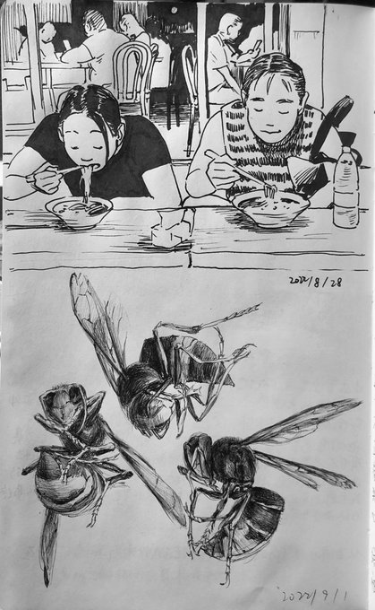 随笔 