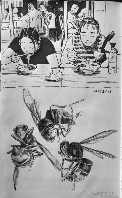 随笔 