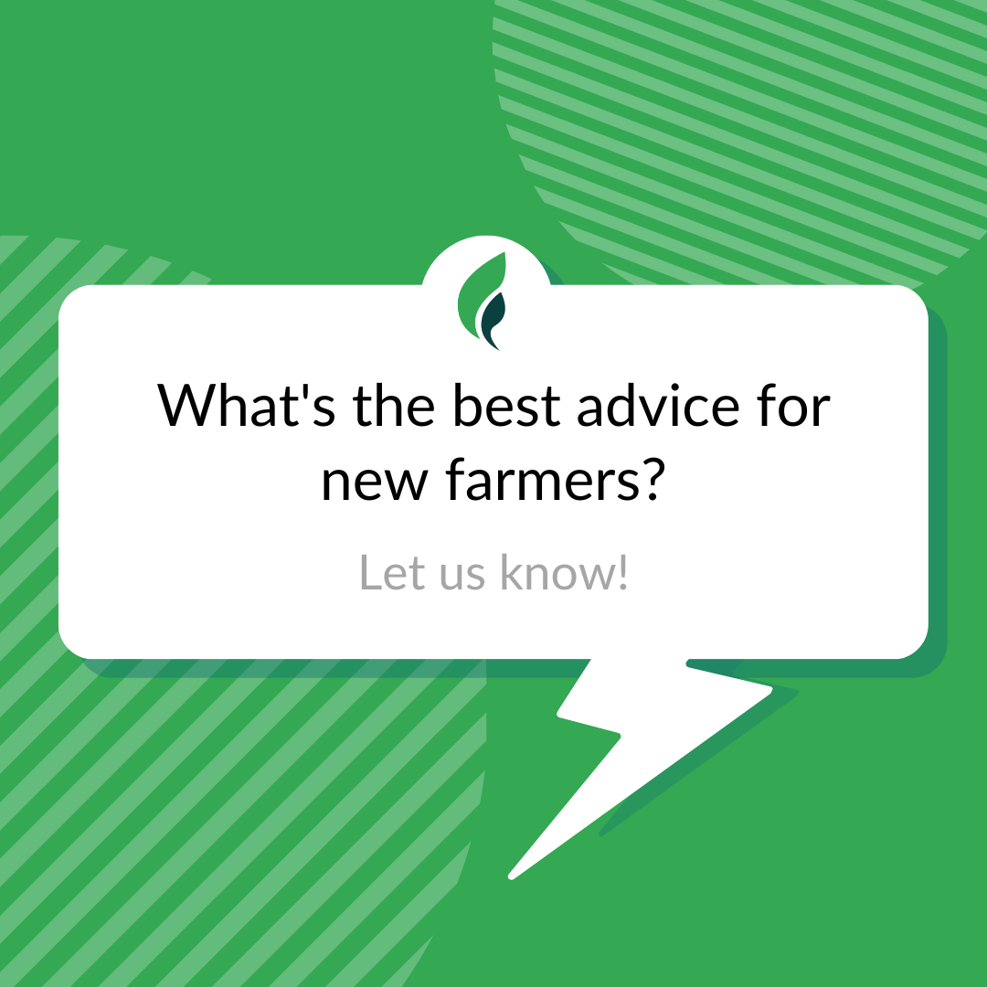 farmbrite's tweet photo. What's the best advice for new farmers?  Knowing all you know now, what would you tell your younger self?

Let us know and share your knowledge with the next generation of farmers.

#newfarm #newfarmers #farming #farmers #farmhacks #farmeradvice #supportfarmers https://t.co/MJDHd9CHO4
