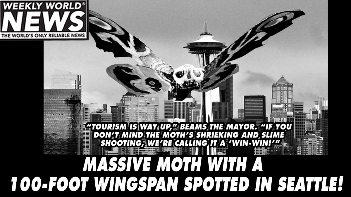 weeklyworldnews's tweet photo. "With all the problems we've got in the city, this one is the least of my worries."
#moth #massivemoth #seattle #massive #wingspan #mothra https://t.co/Qf2UNGOuaI