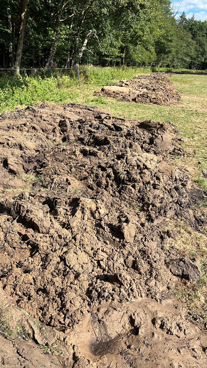 mveldhuis76's tweet photo. Dit korte traject van de #LeuvenumseBeek moest even ietsje uitgediept worden, om #wateroverlast te verminderen op landgoed. Met #ecologischwerkprotocol uitgevoerd. 350 #beekprik, 1 #Bermpje, paar #Modderkruiper, 60 #Rivierdonderpad teruggezet๐๐ @ValleienVeluwe #ecologie 1/.. https://t.co/lewl2IjDxx