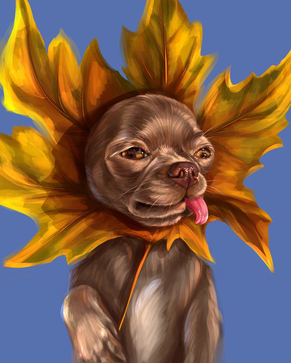 I’m happy to present a New Drop in my Emotional Chihuahua collection 🐶

Sunny Chihuahua ☀️🍁 via <a href="/opensea/">OpenSea</a> 
0.06 $ETH 

Minted 10/??
Sold 3/10

Next ten Busya will be travel Chihuahua girl 😉

opensea.io/assets/ethereu…
#alina_ilina_art #FairArtNFT #KatoOGgo #Benjaminbitcoin #NFTFam