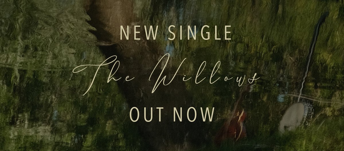 Adam Monaco tweet media