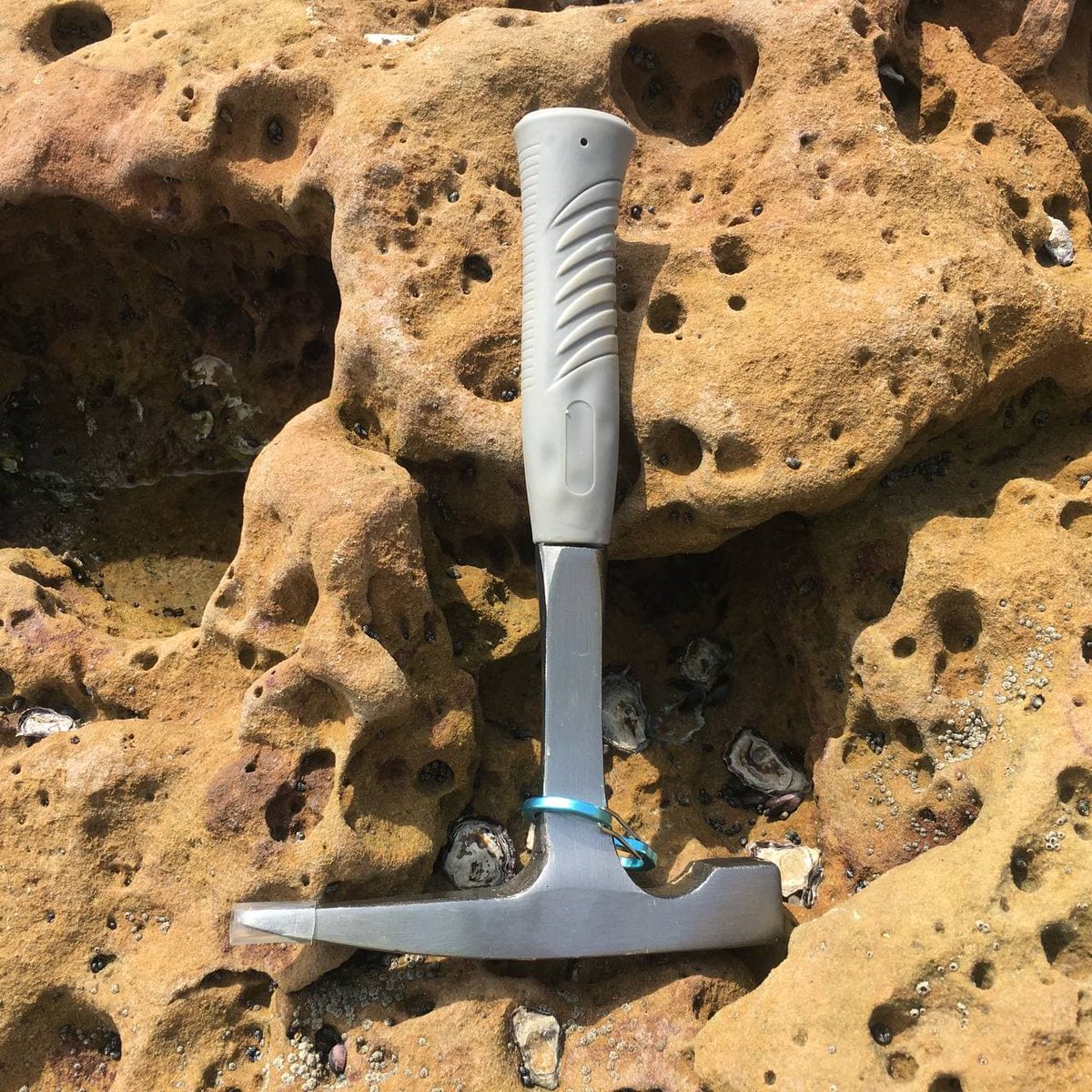 EfgInfo's tweet photo. EFG and @EAGE_Global are delighted to announce the winners of the 2022 edition of the #LegendsofGeoscience Photo Contest!
🥇 First place: Asonkey Alexander
🥈 Second place: Martha Papadopoulou
🥉 Third place: Manuel Regueiro
Discover the winners! https://t.co/BjWjKTedD7 https://t.co/C2mYPorc3x