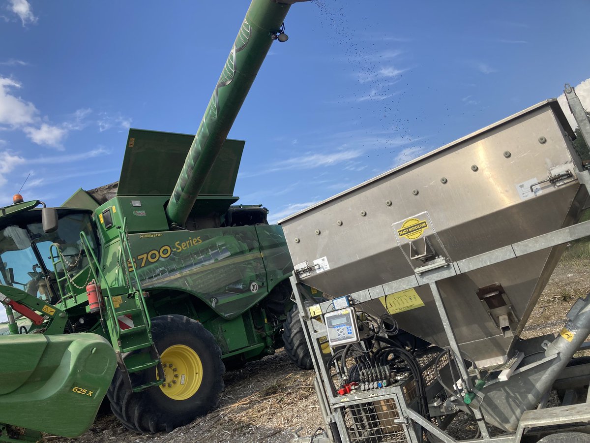 BUREAU20's tweet photo. La récolte des tournesols bat son plein en Sud Charente et ailleurs.
C’est le moment de mesurer la performance des génétiques 
Vitrine ADS- IMPAACT https://t.co/AuOeXkMOD5