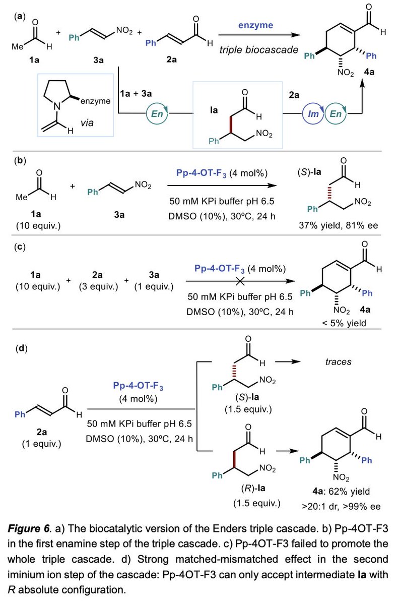 Enantioselective #BiocascadeCatalysis with a Single Multifunctional #Enzyme by <a href="/tseliouvas/">Vasilistseliou</a>, @adriana_faraone, Laura Kqiku, Jan Vilím, Gianluca Simionato, and <a href="/Melchiorre_P/">Paolo Melchiorre</a> <a href="/MelchiorreGroup/">Melchiorre Group</a> at <a href="/ICIQchem/">ICIQ</a> in <a href="/angew_chem/">Angewandte Chemie</a> onlinelibrary.wiley.com/doi/10.1002/an…
