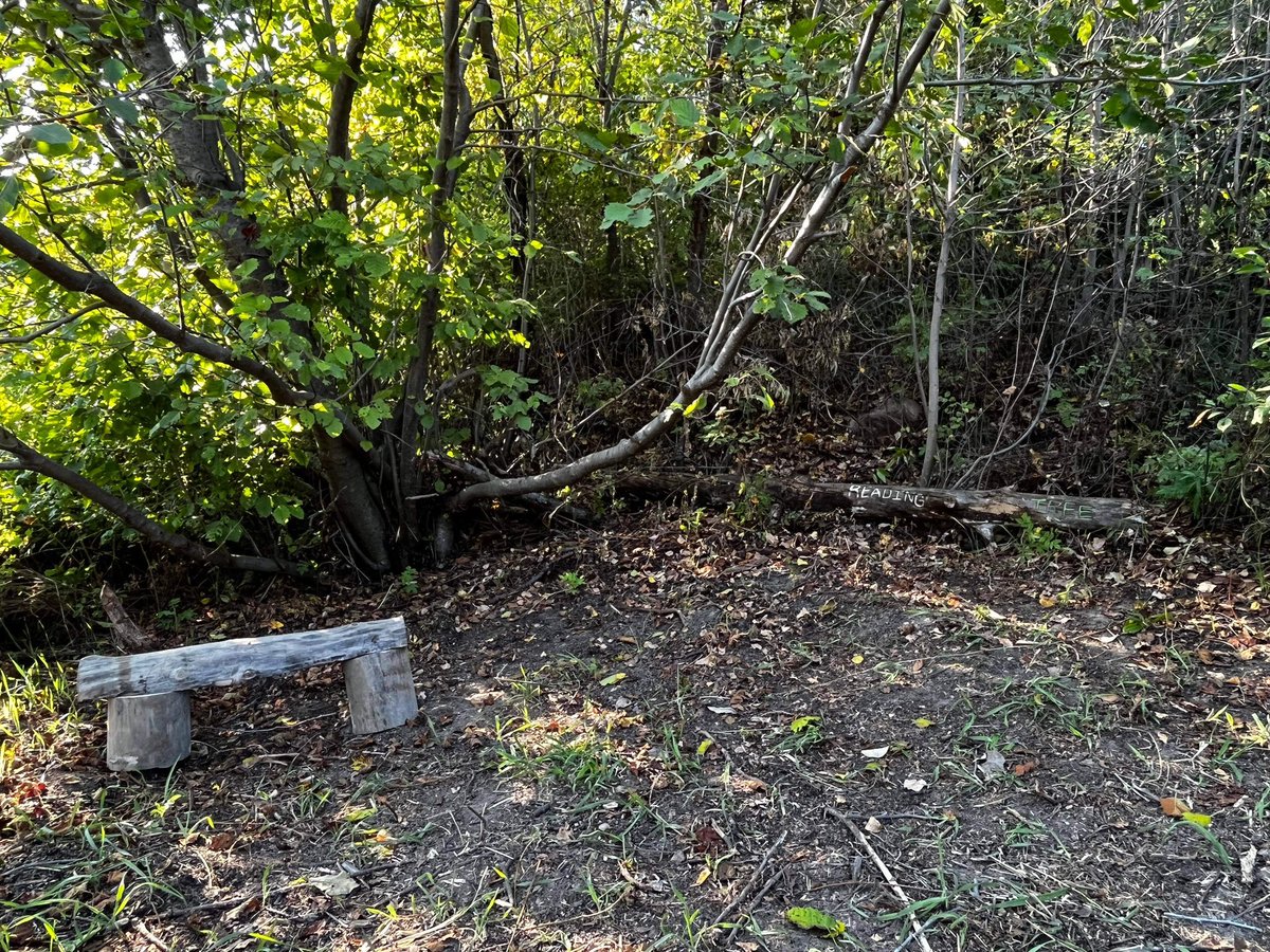 CotnTailCorner's tweet photo. Look at these amazing benches made by Mike and his friends for CottonTail Corner! https://t.co/wnJRmbcUbb