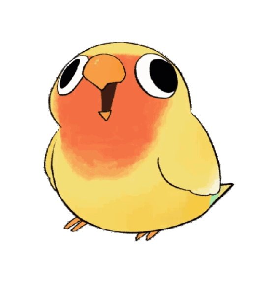 海子姐我关注你好久了，你的绿毛鹦鹉和水蜜桃鹦鹉cos我都超级喜欢的！