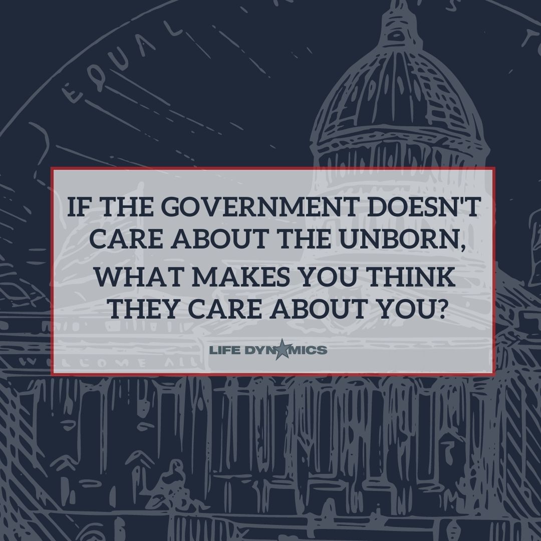 Life Dynamics tweet media