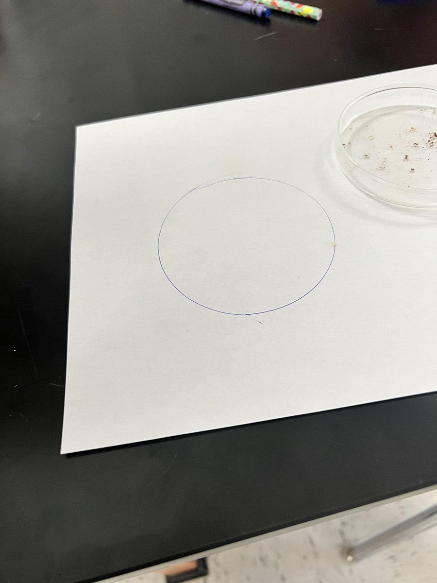ATeacherMiller's tweet photo. Observing Termite behavior in science today at Holliday High School! https://t.co/AtmKFGzCMr