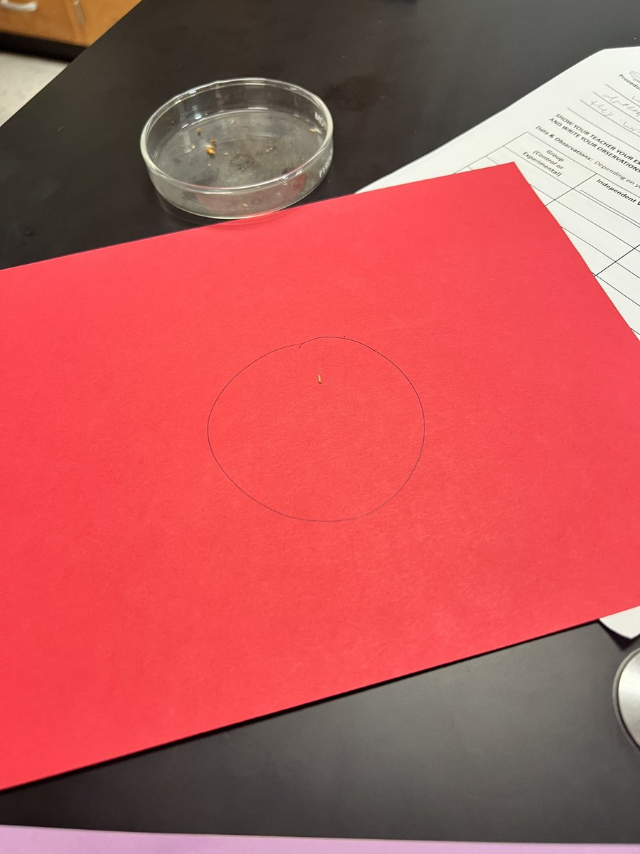 ATeacherMiller's tweet photo. Observing Termite behavior in science today at Holliday High School! https://t.co/AtmKFGzCMr