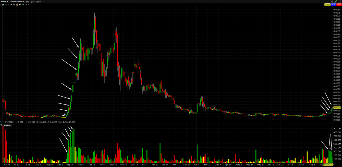 PikachOTC's tweet photo. $TONR Cult is about to repeat history 🔥 https://t.co/BU5Kh7eFOf