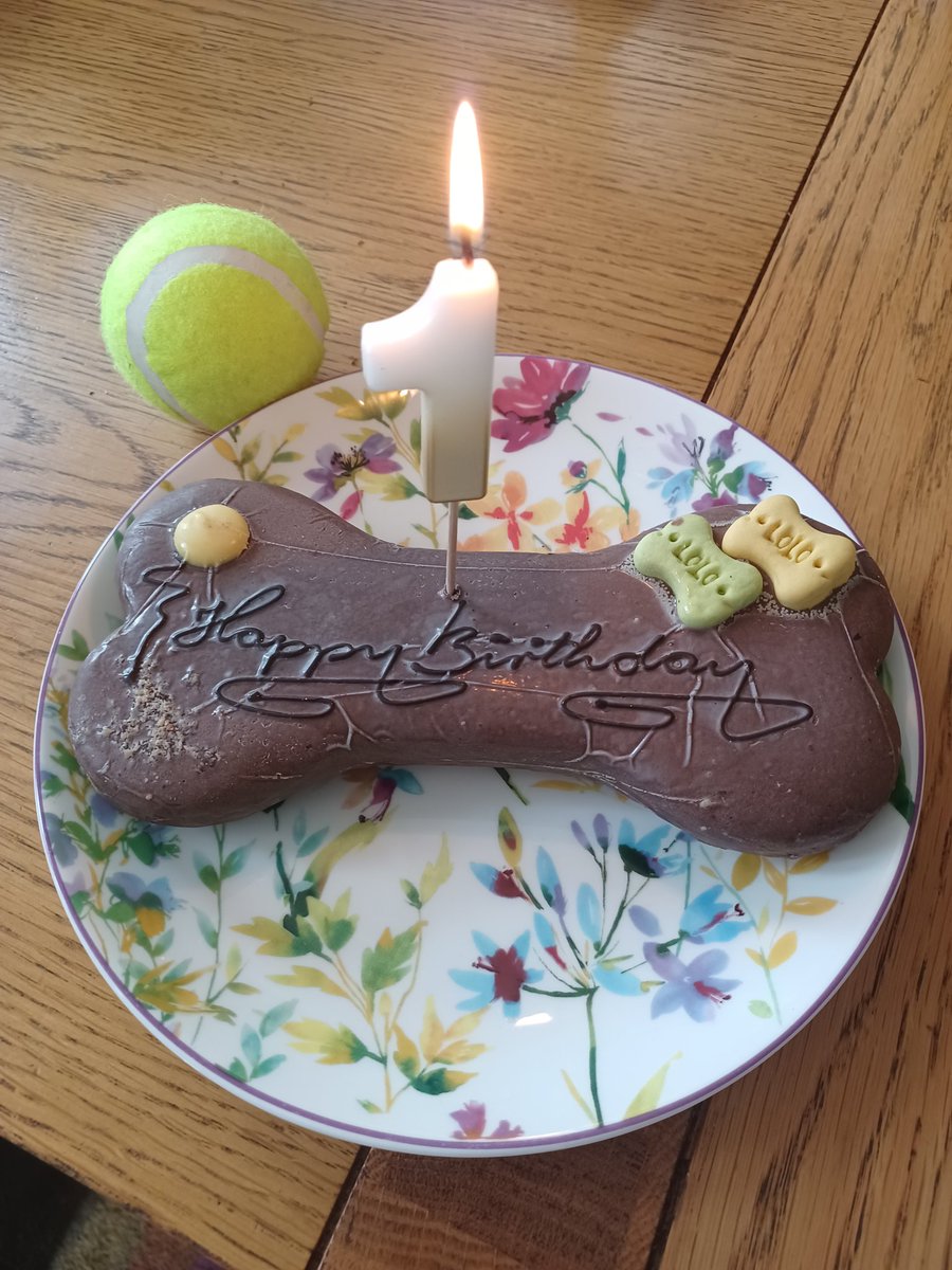 andrewderrig1's tweet photo. Happy 1st birthday Olive https://t.co/gh6JdyyNjL