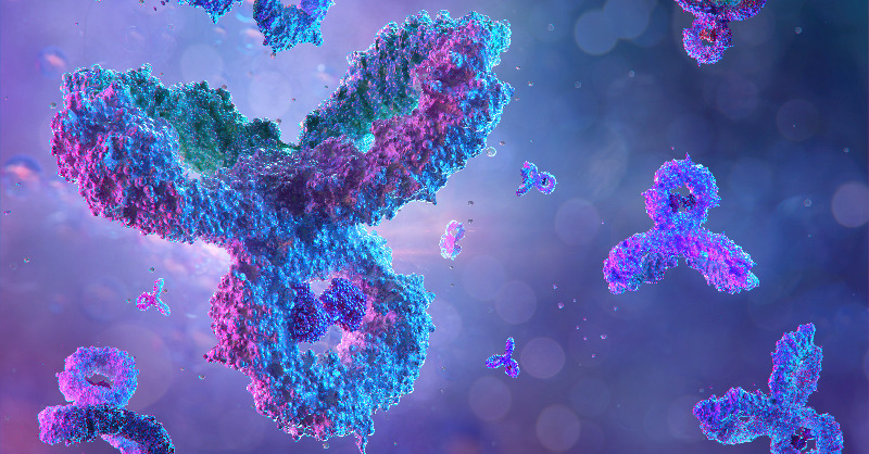 vfapharma's tweet photo. #Antikörper sind die größte Gruppe der #Biopharmazeutika. Ihre Wirkstoffnamen tragen die Endsilbe „-mab“. Ende 2021 hat die @WHO die Namensregeln überarbeitet und vier neue Endungen eingeführt. #vfabio erklärt die Hintergründe und wie Antikörpernamen jetzt zustande kommen 🤓