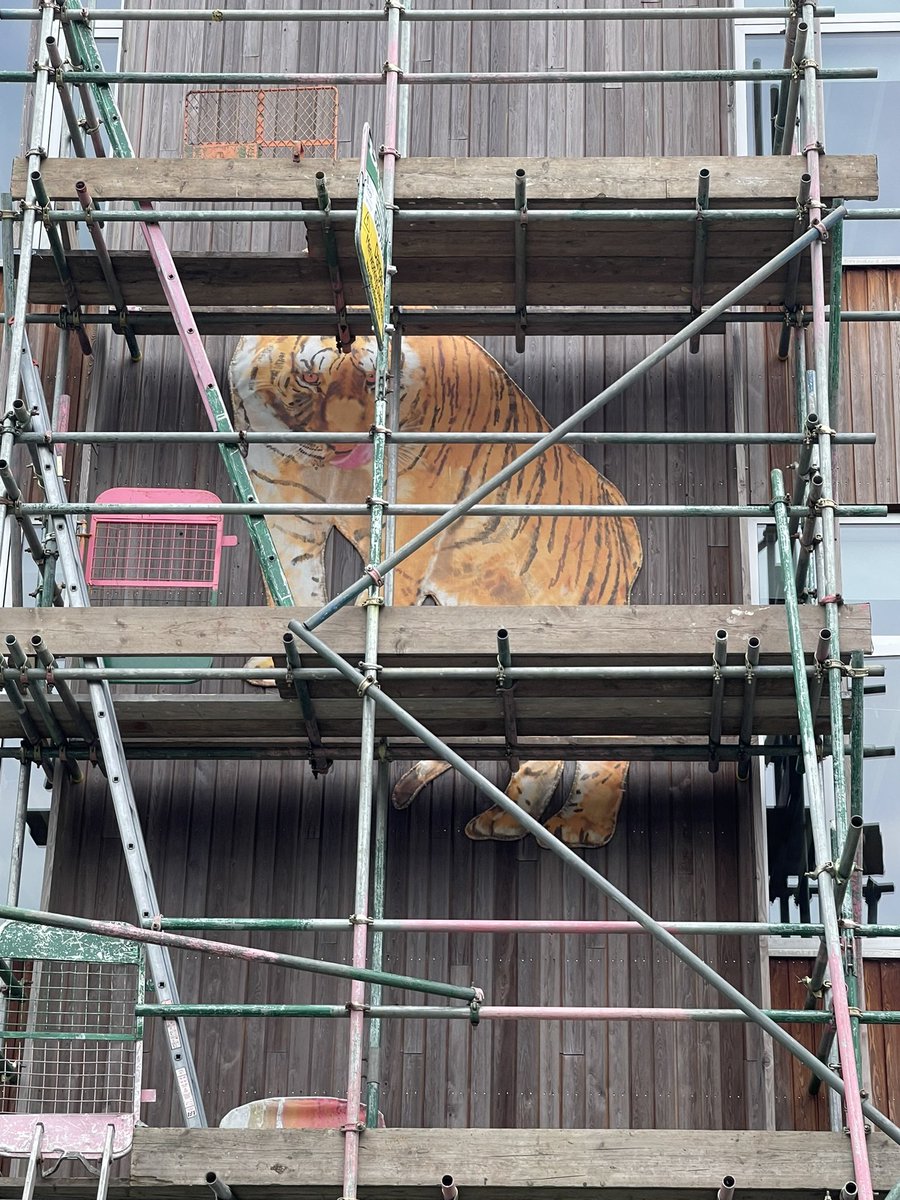 AshmountPrimary's tweet photo. Ahmed Farooqui began the installation of one of the tigers from his incredible Tea with Tigers installation. Currently caged, it looks magnificent! Watch this space for the full reveal! Thank you Ahmed! https://t.co/rnJQwL4l5i