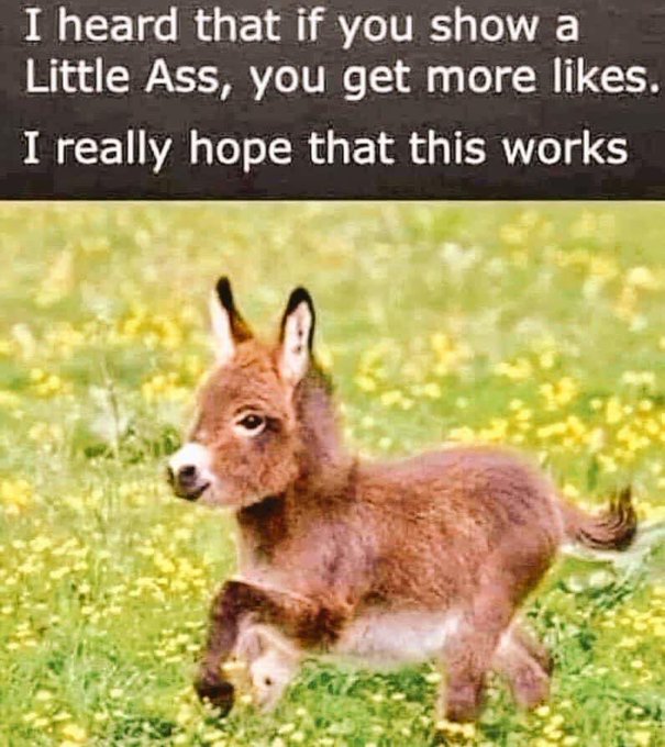 🤣🤣🤣 https://t.co/EkjctB1OTM<a href="/tag/game"class="tags"><span>#game</span></a><a href="/tag/gamergirl"class="tags"><span>#gamergirl</span></a><a href="/tag/egirls"class="tags"><span>#egirls</span></a><a href="/tag/thursdayvibes"class="tags"><span>#thursdayvibes</span></a>