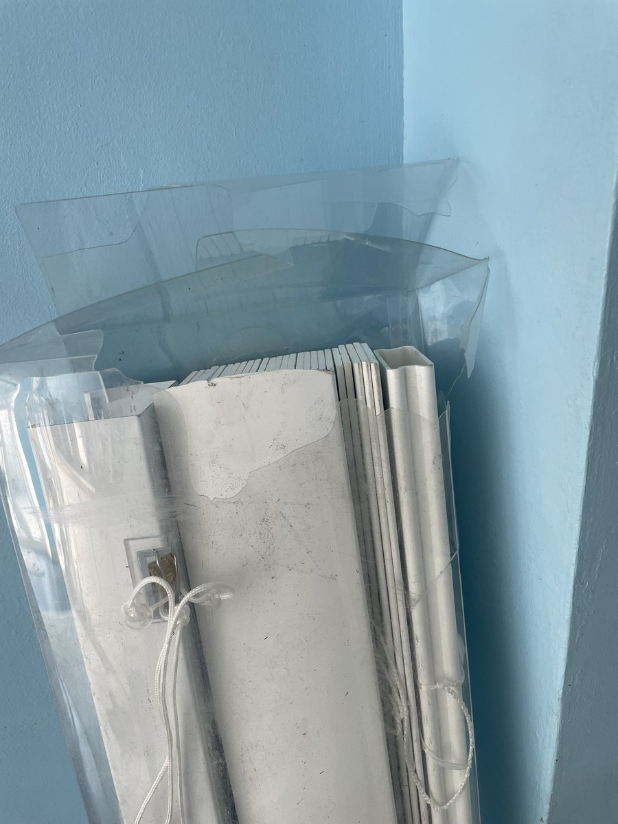 Violet M P Cannon tweet media