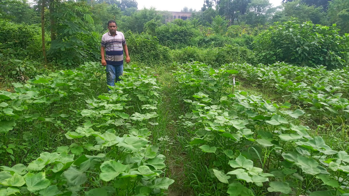 Mosfeq (@mosfeq2) on Twitter photo 