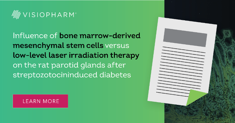 Visiopharm's tweet photo. New publication using Visiopharm for digital analysis: Influence of bone marrow-derived mesenchymal stem cells versus low-level laser irradiation therapy on the rat parotid glands after streptozotocininduced diabetes. #DigitalPathology