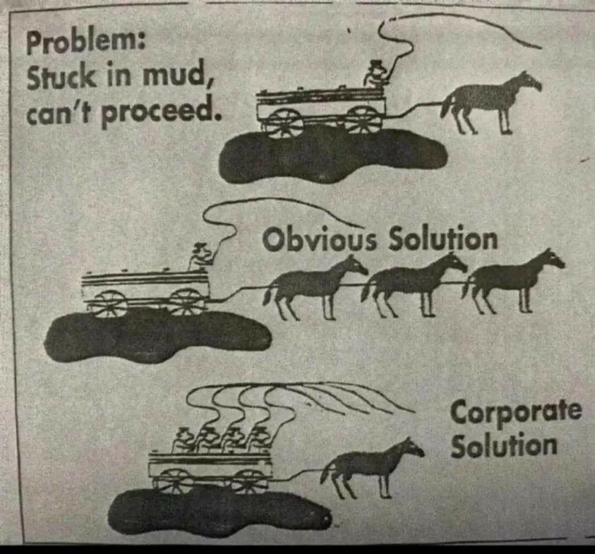 tazwake's tweet photo. No additional comments needed. https://t.co/5A64gWw5Na