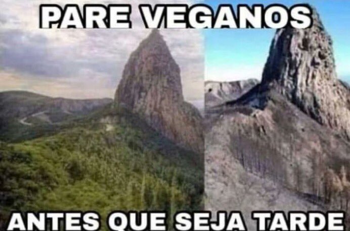 shitpostverdade's tweet photo. https://t.co/7JD9xflnwZ