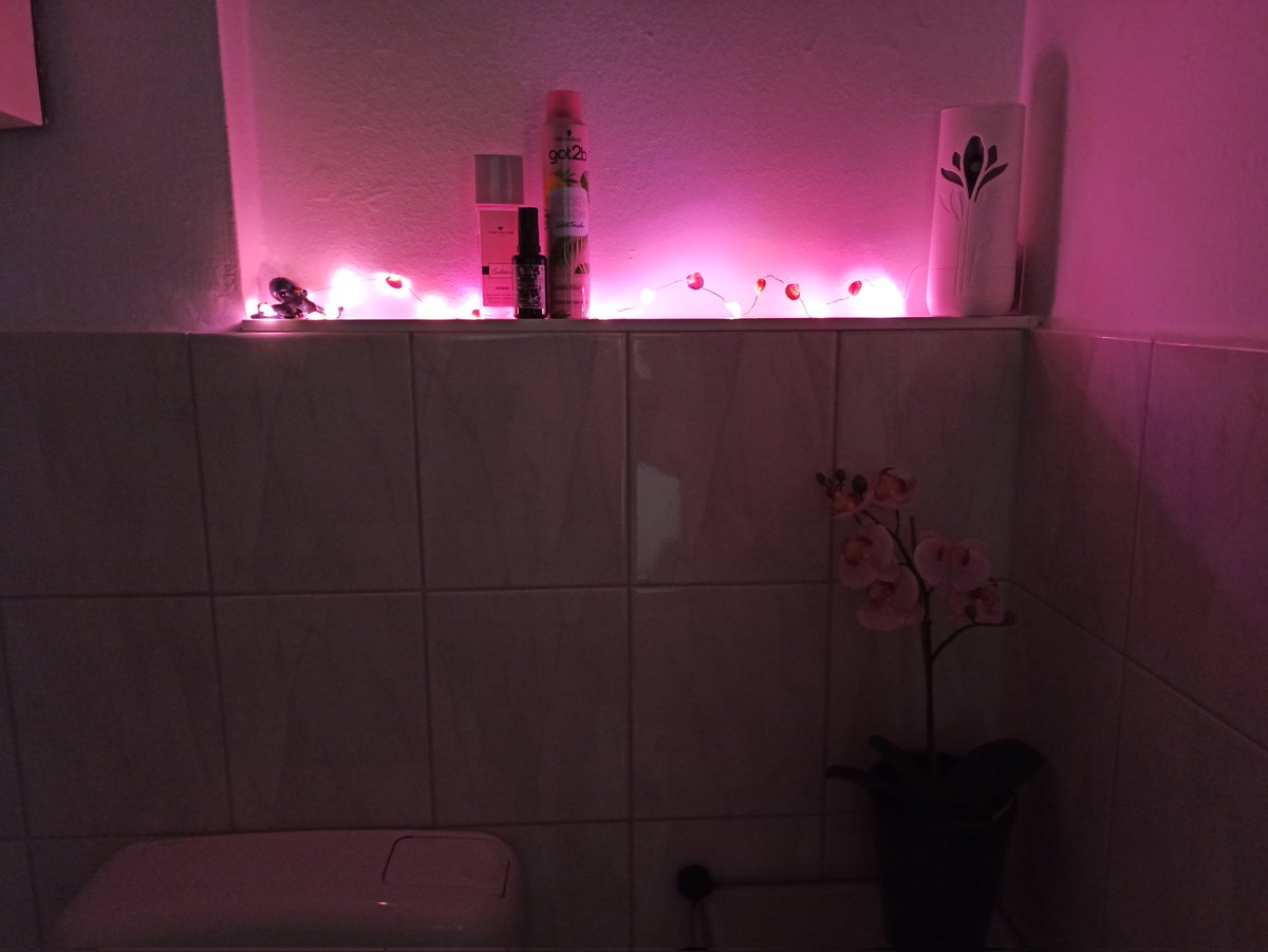 Innolein's tweet photo. Hallo ich erfülle halbwegs ein Klischee mit Schildkröten Kraken und nem Pufferfisch als Deko und die gebastelte Lichterkette sind angehalten feenlichter mit Muscheln beklebt und die Orchidee die da steht ist auf jeden Fall auch eine maritime Pflanze 🤭 https://t.co/tynAbGqDaI