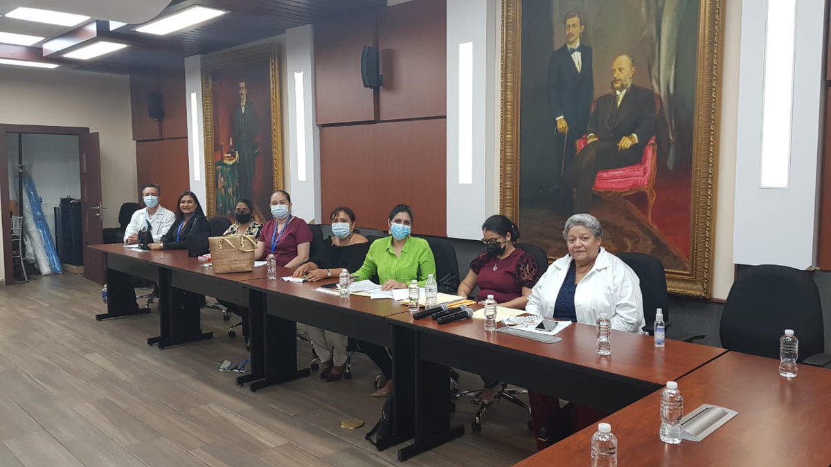 CQFH_HN's tweet photo. Reunión con comisión de salud en el @CongresoHN para tratar temas de modificación a la Ley del estatuto laboral de los QF y Dictámen Toxicológico. @SEguigurems https://t.co/Ymiwoupr3P