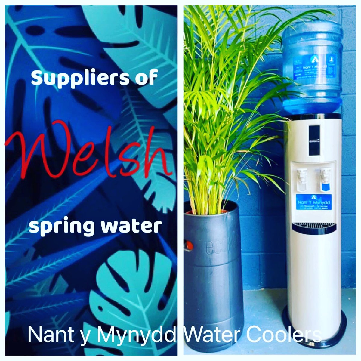 If you’re looking for a water cooler for your business or home, we can help!

We have a range of water coolers to choose from.

For more information, check out our website 👇

nantymynyddwatercoolers.co.uk

#welshspringwater #localbusiness #cwmnilleol #SupportLocalSupportWales