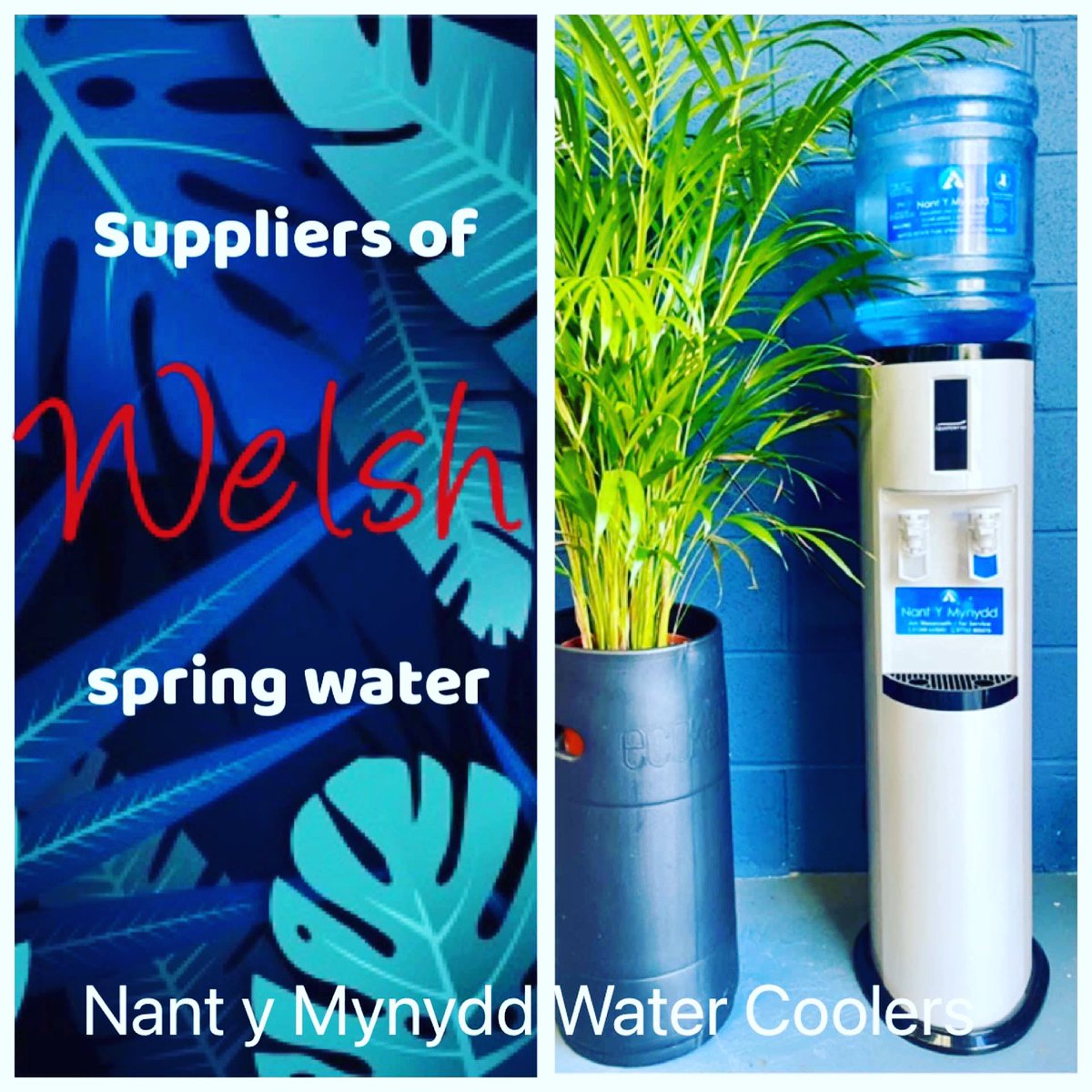 If you’re looking for a water cooler for your business or home, we can help!

We have a range of water coolers to choose from.

For more information, check out our website 👇

nantymynyddwatercoolers.co.uk

#welshspringwater #localbusiness 

@NYMWaterCoolers