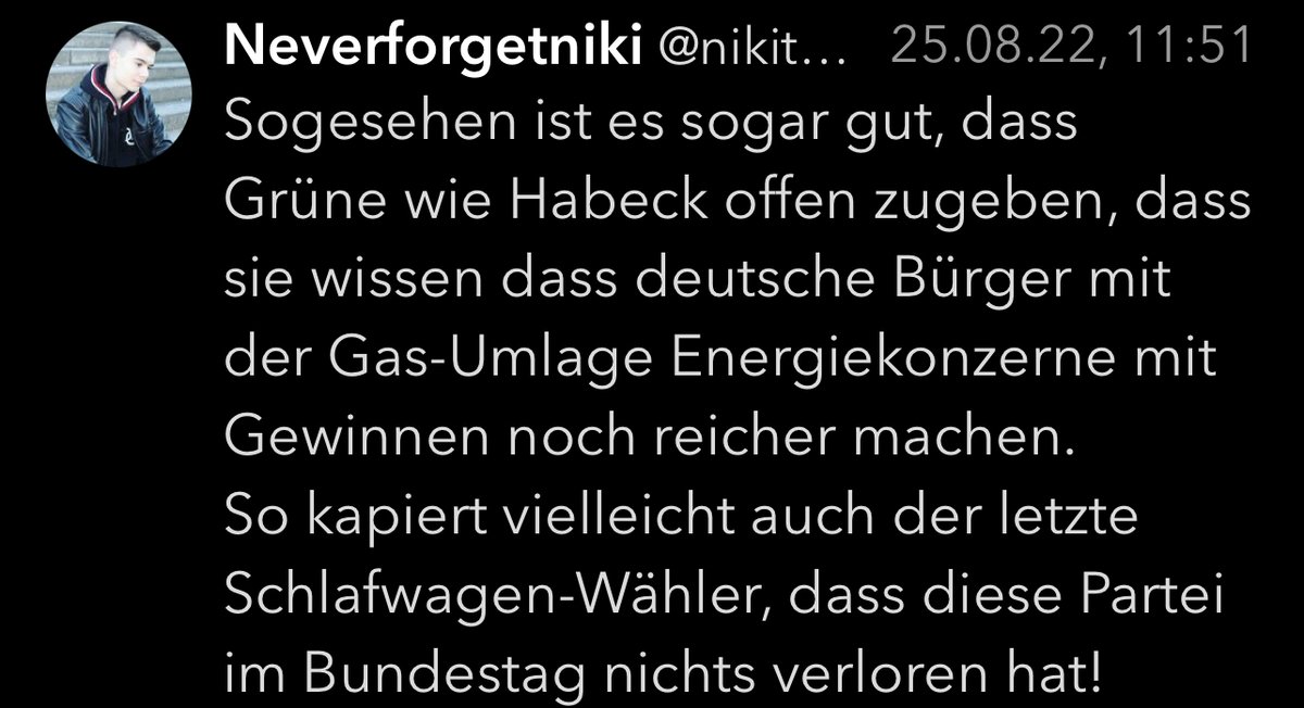 KnuspaFritte's tweet photo. Naja die Partei, die nichts im Bundestag zu suchen hat, weil #FCKNAZS nichts im Bundestag zu suchen haben, ist und bleibt die #FCKAFD.

@nikitheblogger #Neverforgetniki  #SchimmelNiki #AfDSprechpuppe #NikiSchreibtKack https://t.co/VjWLZSVZt9