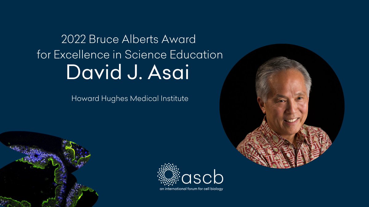 David J. Asai of  Howard Hughes Medical Institute @HHMINEWS  has been chosen for ASCB’s 2022 Bruce Alberts Award for Excellence in Science Education. Congratulations! 
⭐ascb.org/society-news/a…