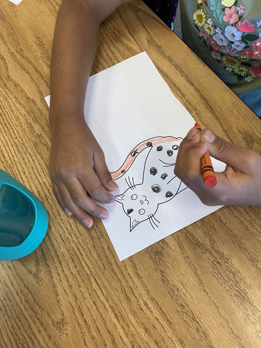 gotagoodbook's tweet photo. First graders read I am Cat and discussed how we are similar and different in order to show our individuality and community. Then we showed ourselves as cats. #kwbpride #APSBack2School @KWBwelsh https://t.co/7YhNCoqD1k