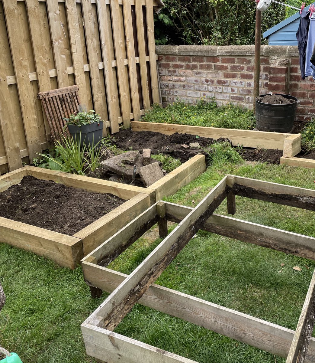 Dr. David J. Hughes tweet media