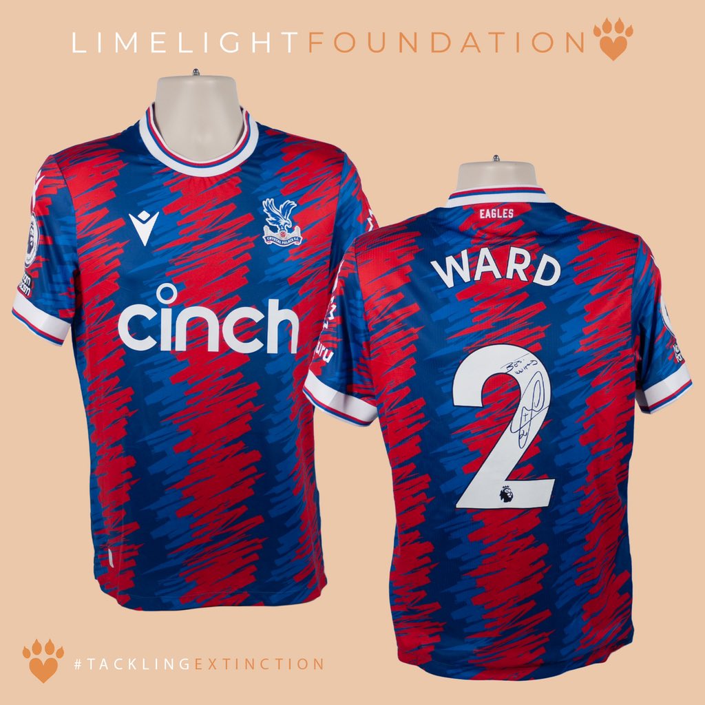 The Limelight Foundation tweet media