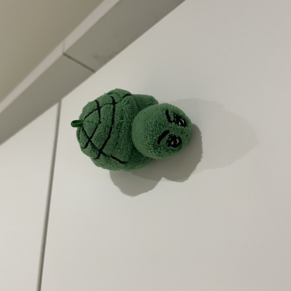 chewrross's tweet photo. 뭐지? 불량버부기 받앗는데
뭔가 아랫면에 끈끈이가 붙어잇어서
닌자버부기가 됨... 벽이랑 천장에 붙여봤더니 착착 붙어 뭐임? 레어템 생겻다 ㄷㄷ https://t.co/s0l38iYM5a