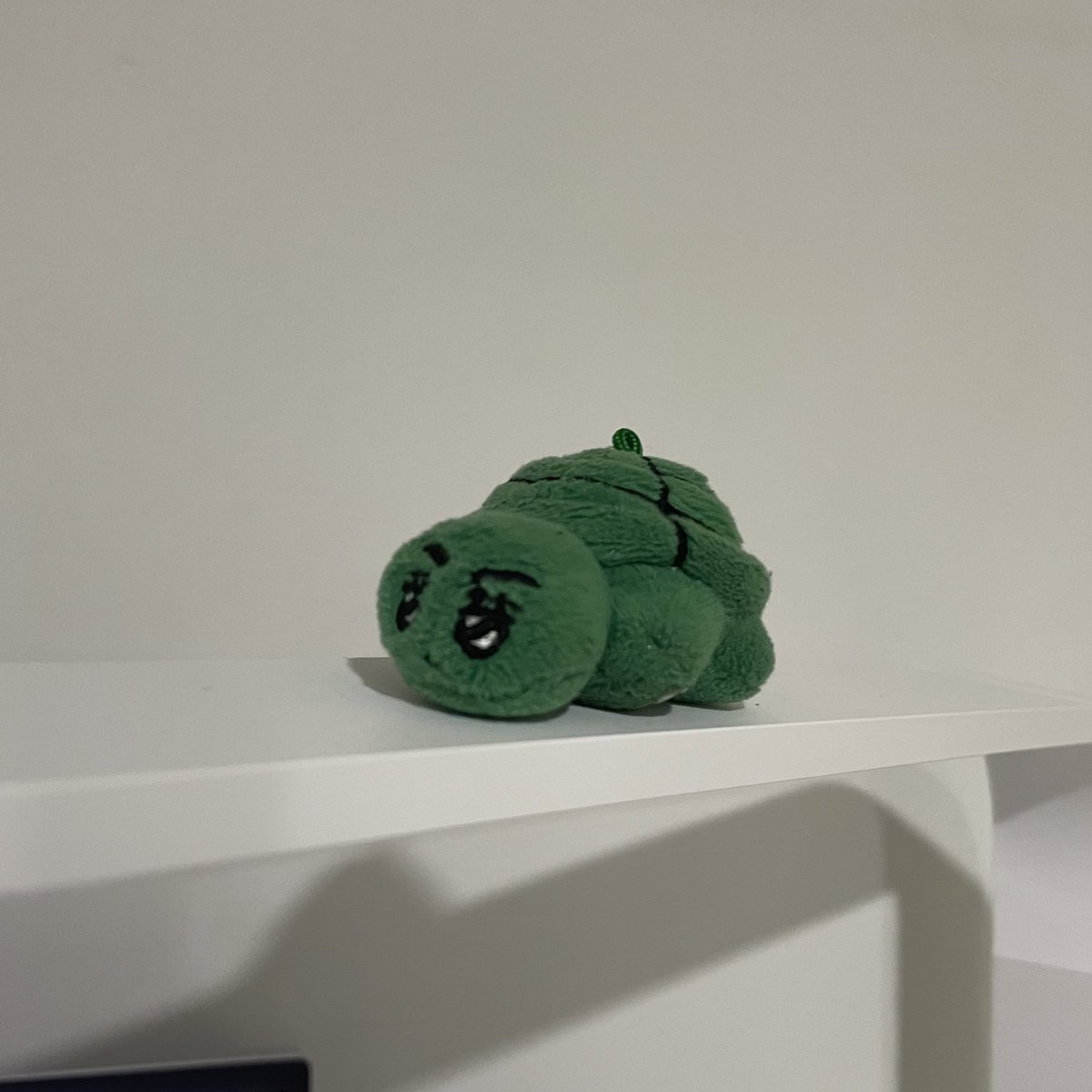 chewrross's tweet photo. 뭐지? 불량버부기 받앗는데
뭔가 아랫면에 끈끈이가 붙어잇어서
닌자버부기가 됨... 벽이랑 천장에 붙여봤더니 착착 붙어 뭐임? 레어템 생겻다 ㄷㄷ https://t.co/s0l38iYM5a
