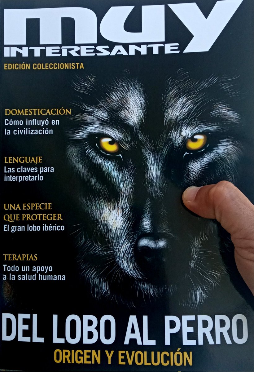 EugenioManuel's tweet photo. Con todos ustedes "Del lobo al perro", un número de coleccionista de @muyinteresante que he tenido el placer de coordinar junto a la gran @espresAa. 

Ojo a las personas que han colaborado, en el siguiente tuit. https://t.co/TDNeLD9H1A
