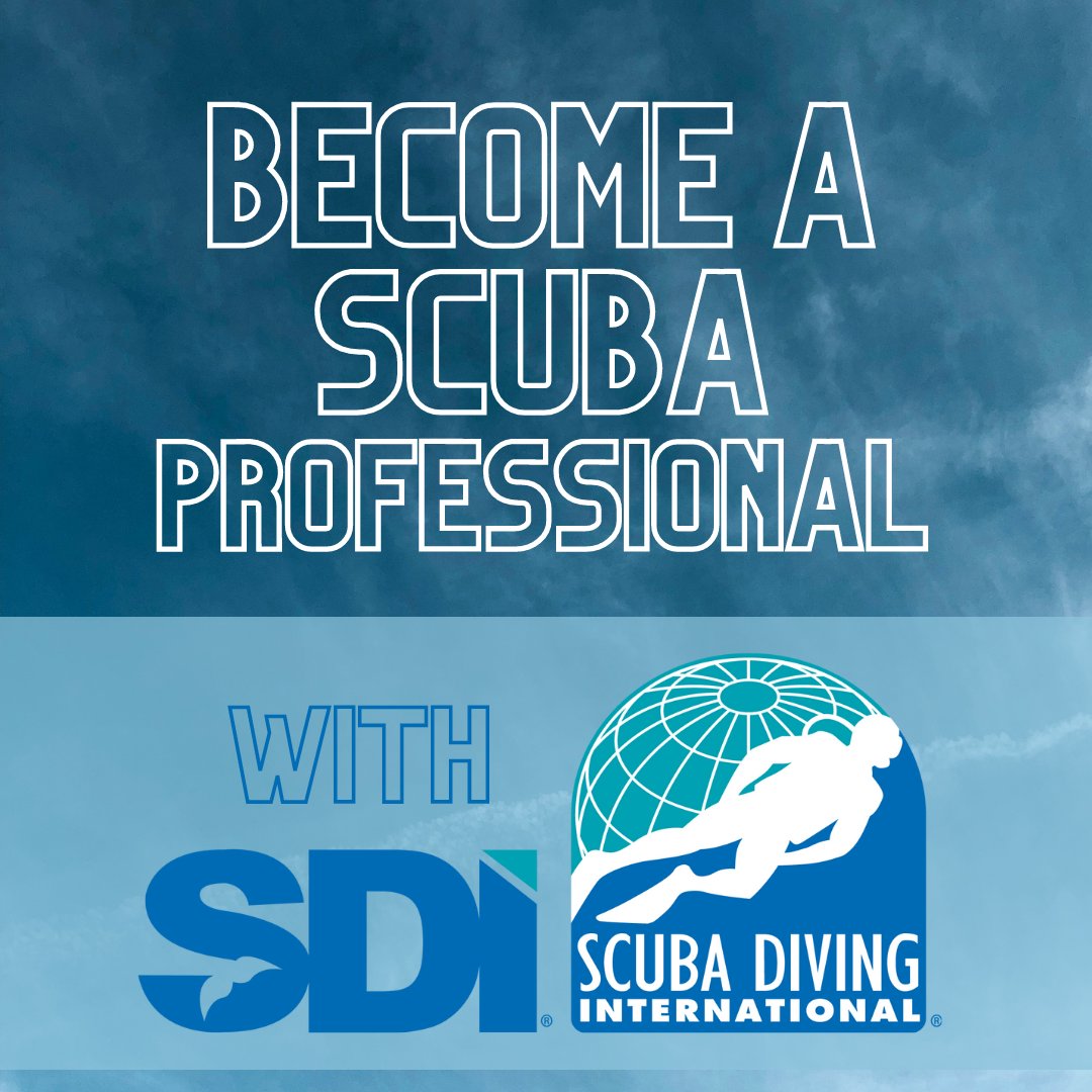 SDIdivers's tweet photo. 👉Head HERE: https://t.co/z0nrf6e3yT to learn what it takes & start your journey today!
#diveSDI #SDITDI #SDIProfessional #ScubaProfessional #DiveProfessional #DivePro #ScubaInstructor #Divemaster https://t.co/myWai2HdKr